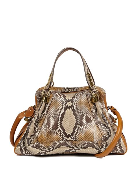 chloe paraty python replica|Chloe Python Paraty .